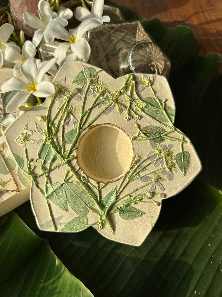 Padma Diya
