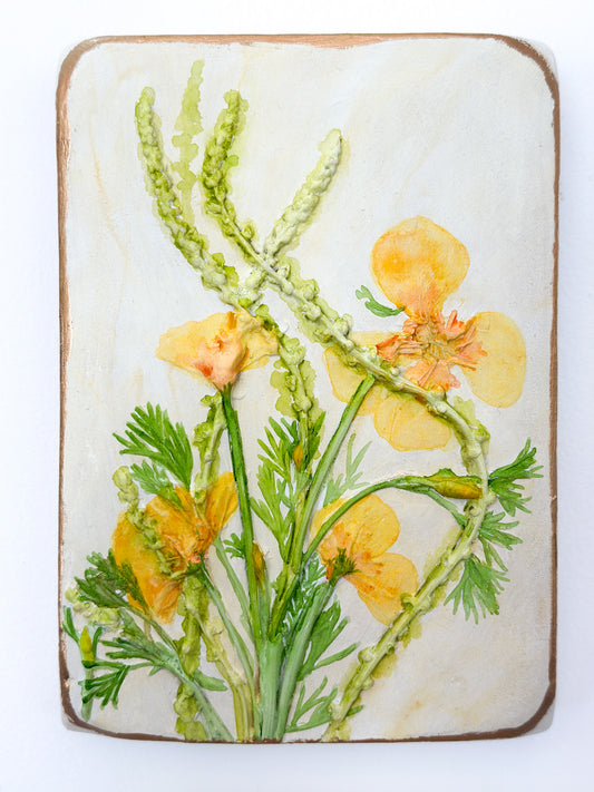 California Poppy Botanical Cast