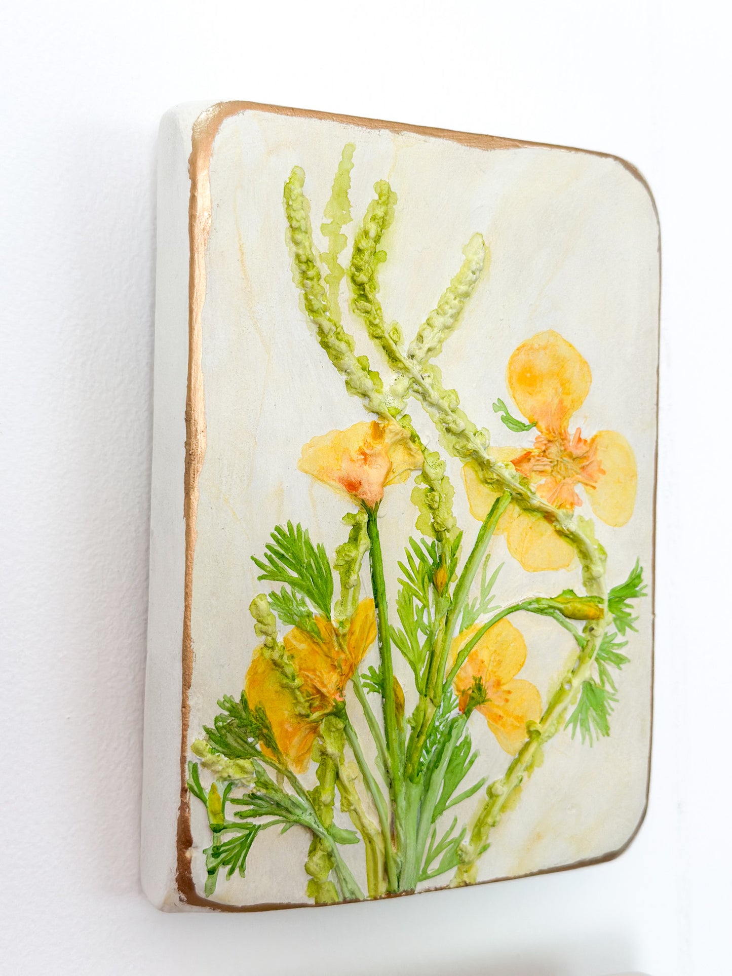California Poppy Botanical Cast