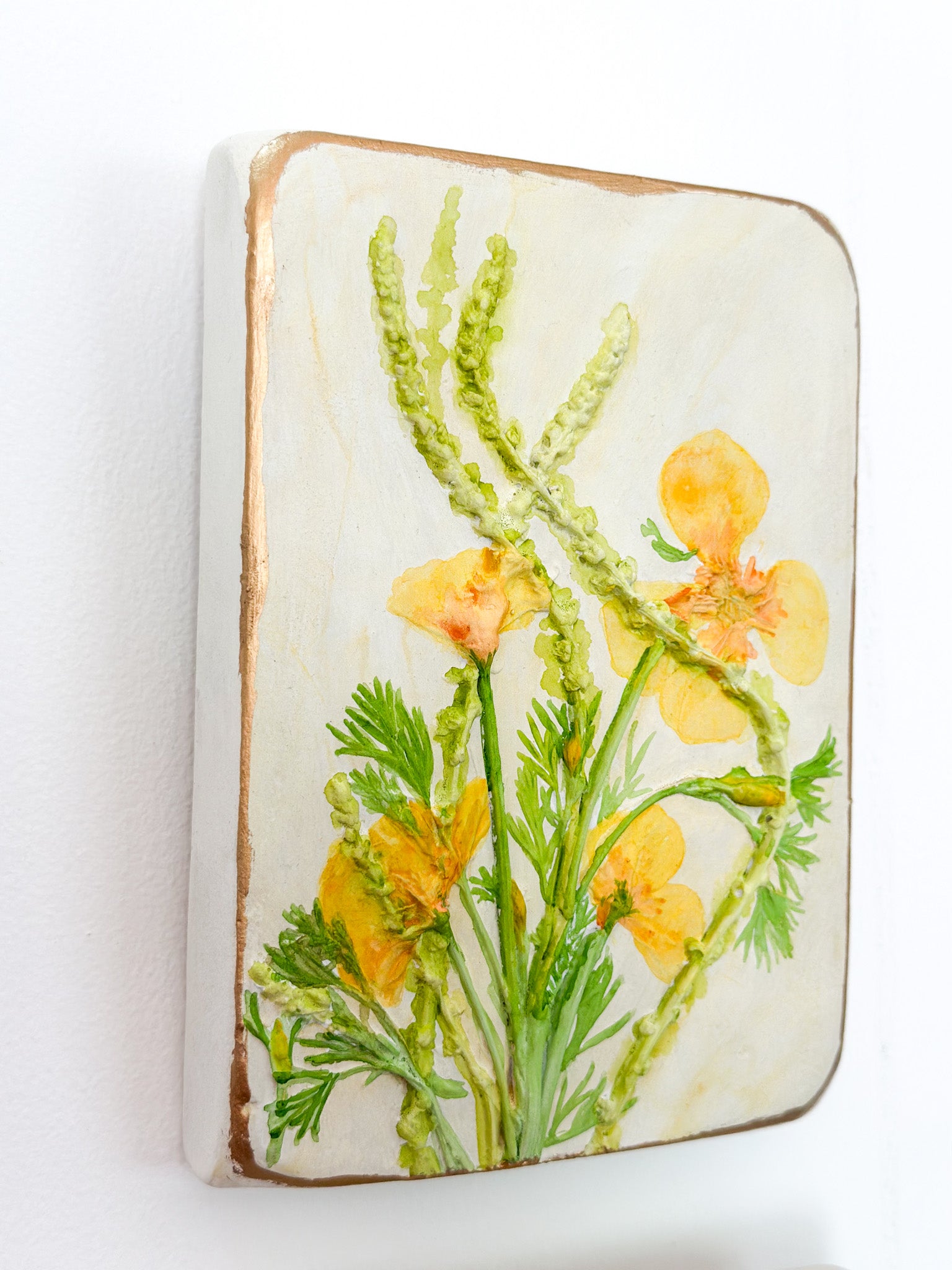 California Poppy Botanical Cast