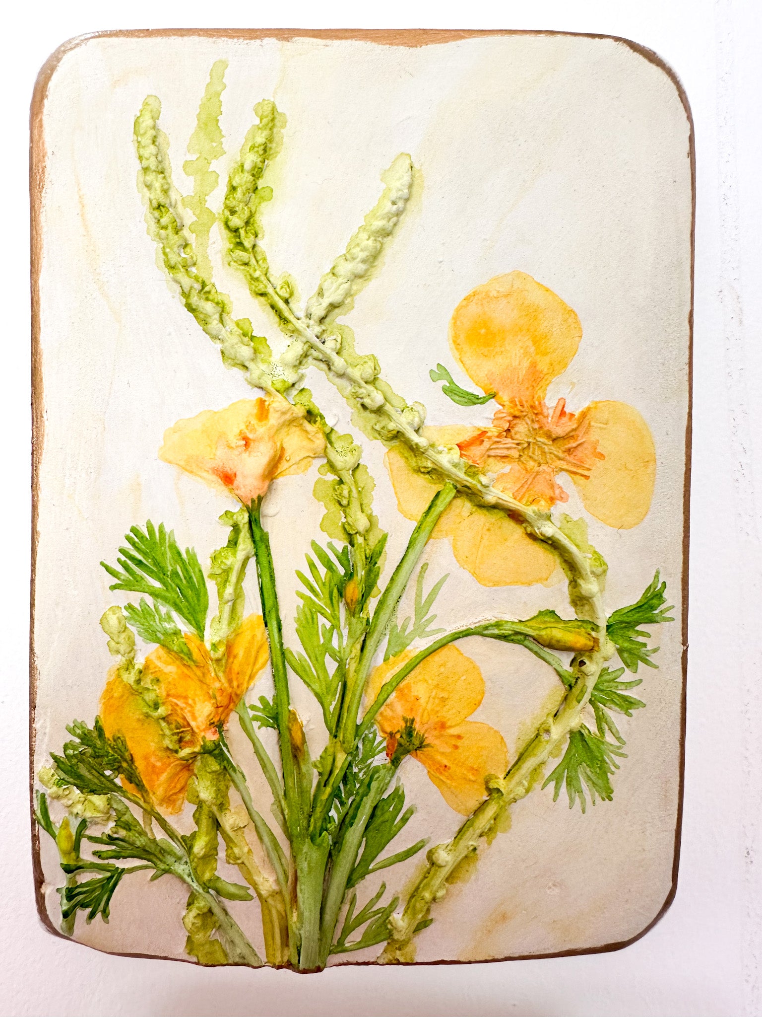 California Poppy Botanical Cast