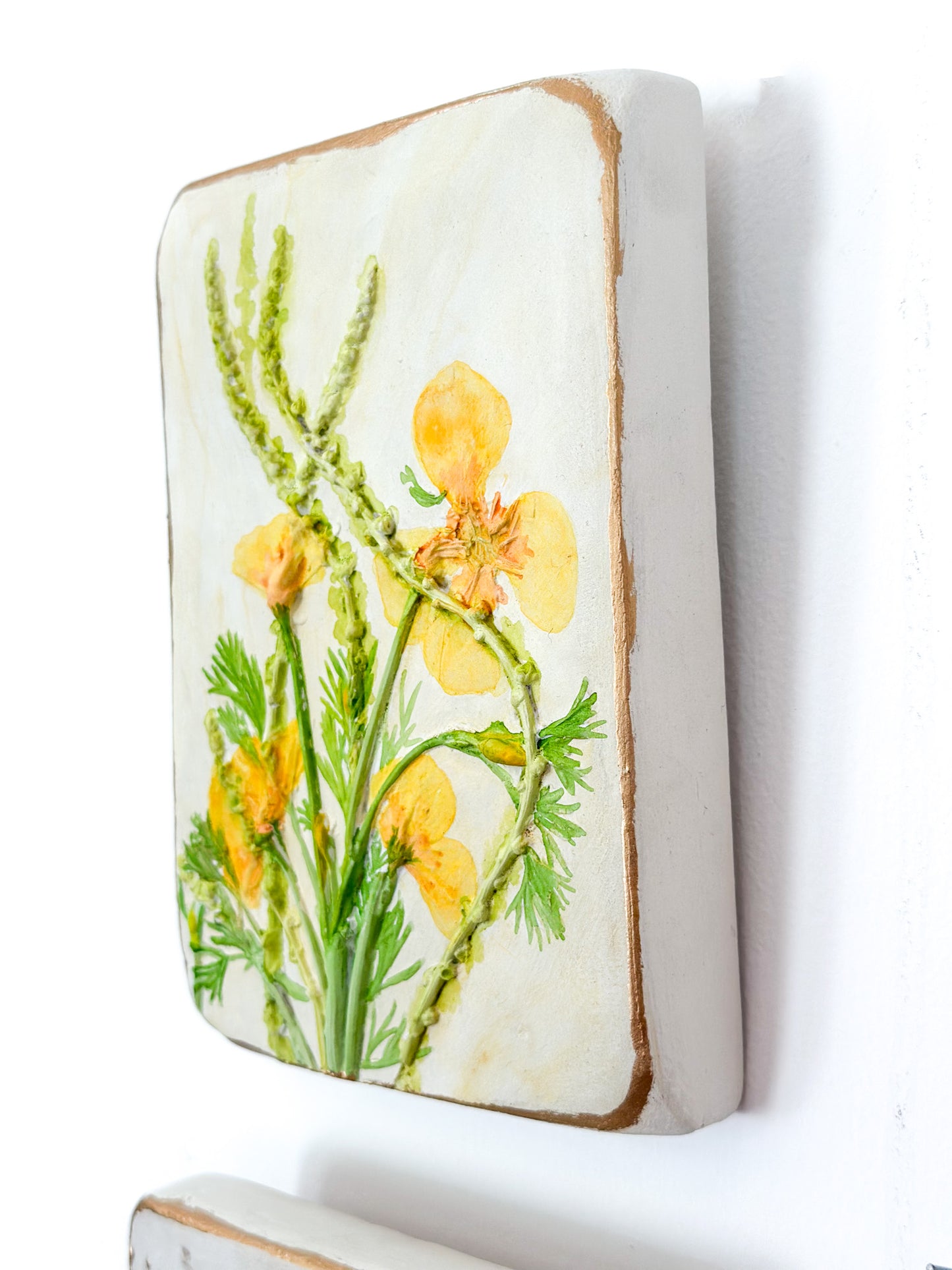 California Poppies
