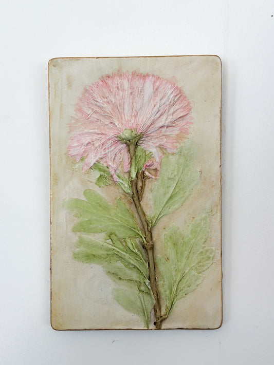 Mountain Dahlia Botanical Cast