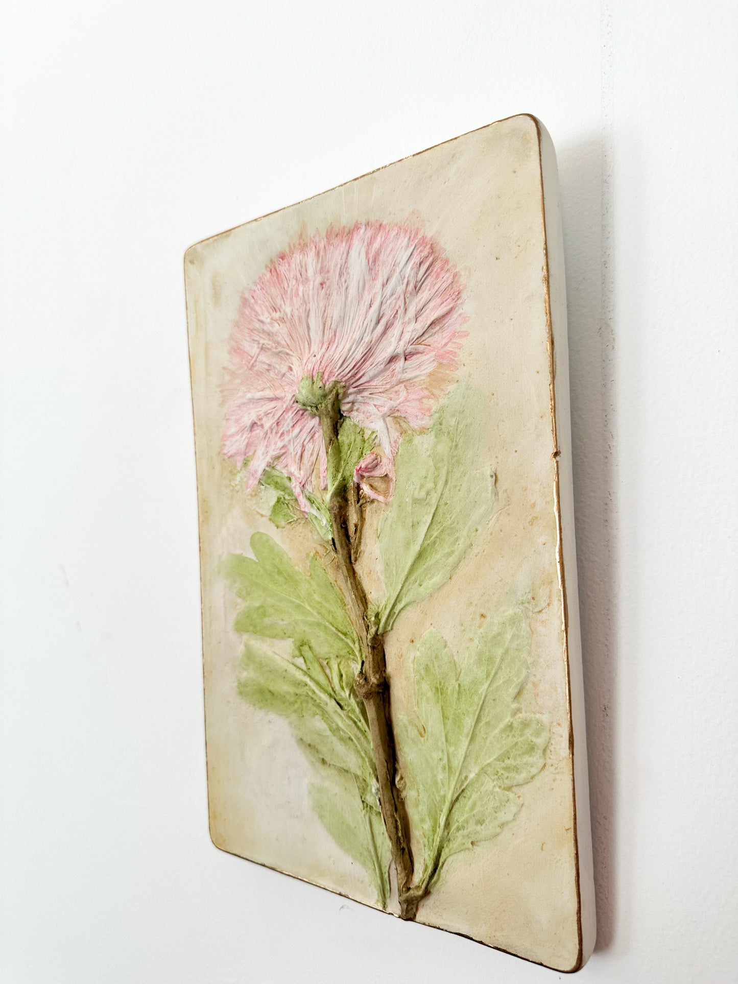 Mountain Dahlia
