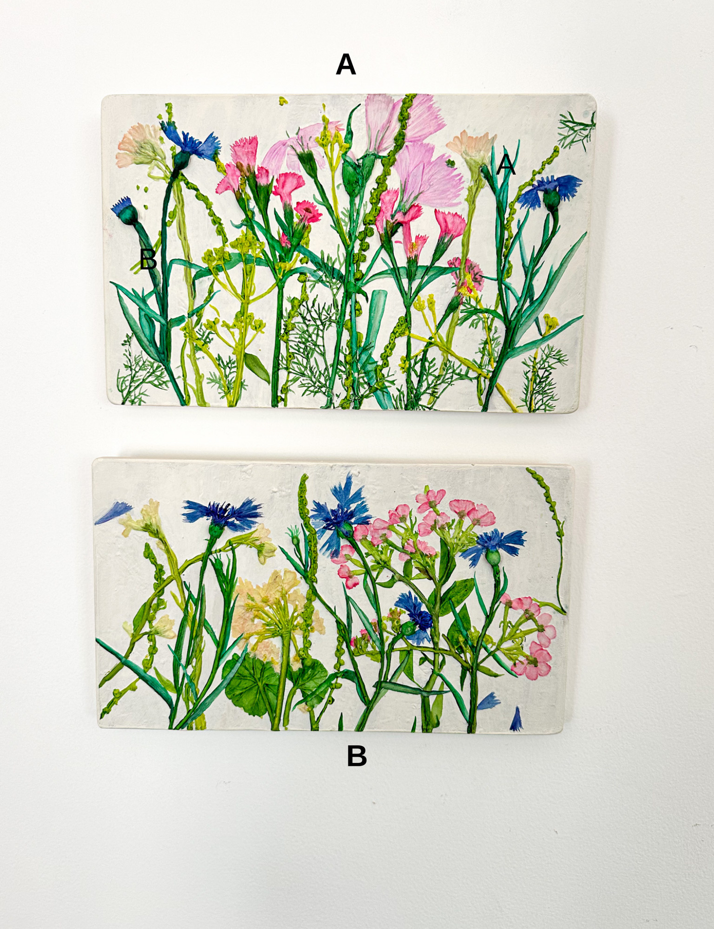 Spring Flowers